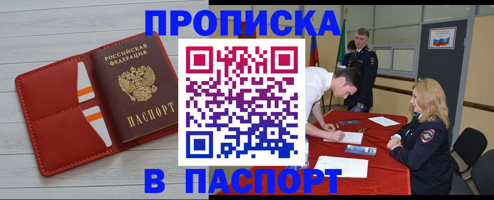 прописка гарантия в Вольске